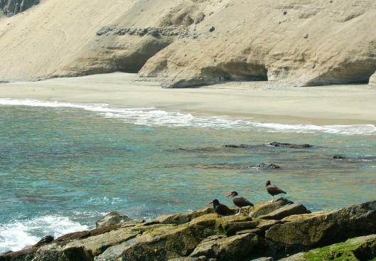 Beach day in Antofagasta